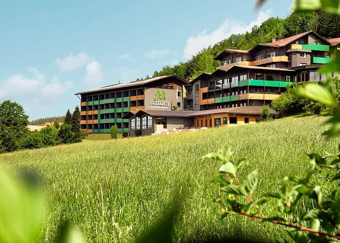 Natura Hotel Bodenmais - inkl Soft- und Heißgetränkeflat